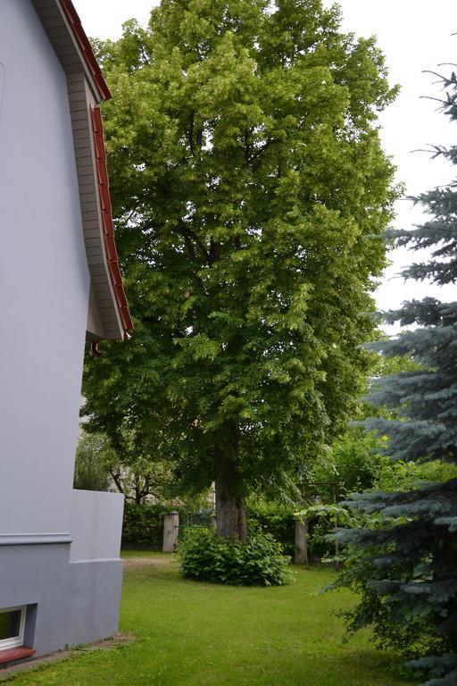 Hotel Liepa Šilutė Exteriér fotografie